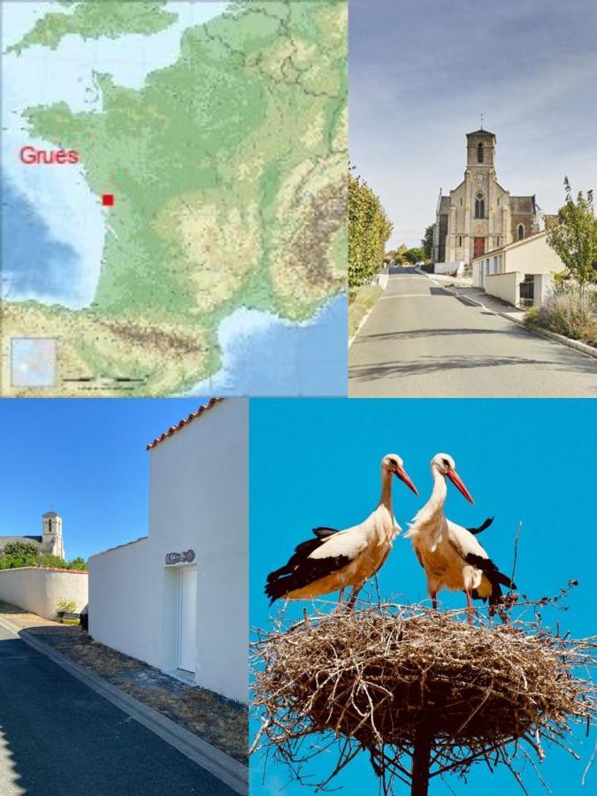 Galta Des Matrus Appartement Cosy 8Kms De L Ocean Grues Bagian luar foto